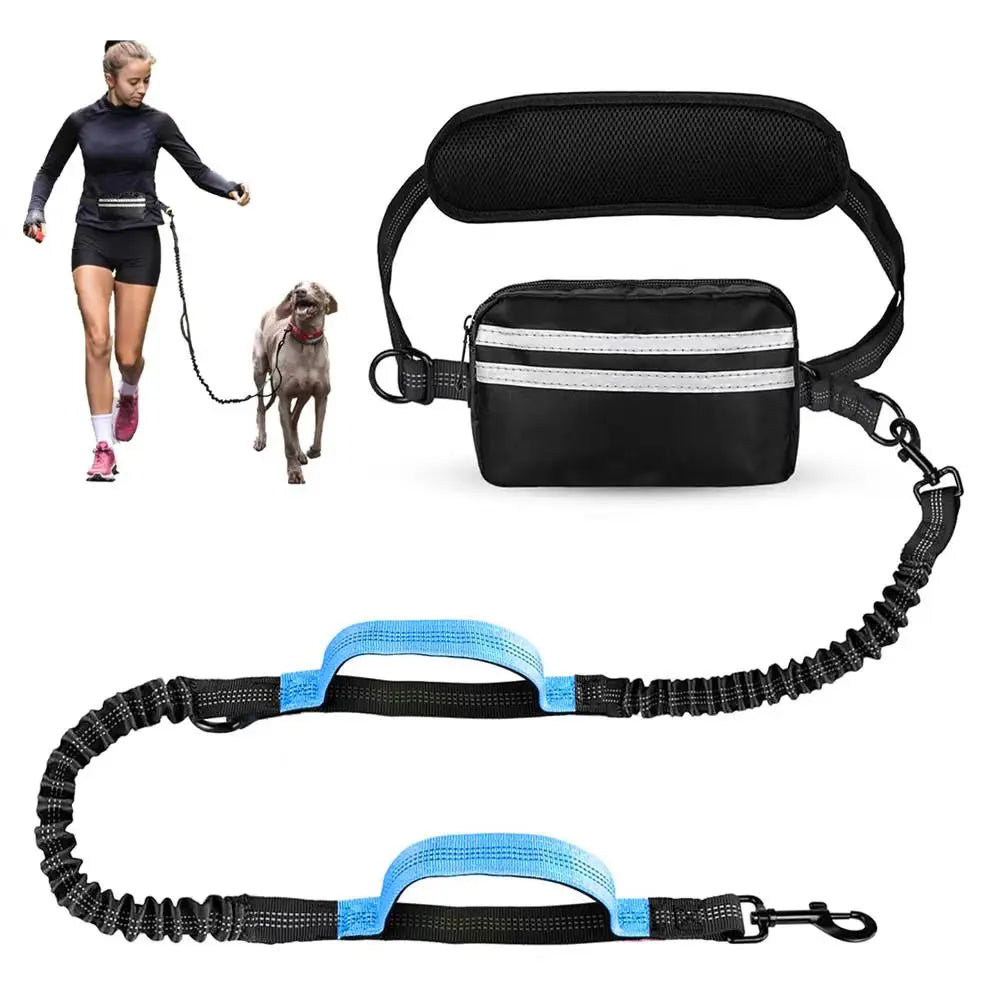 Hands Free Dual Dog Leash Set With Detachable Waist Bag