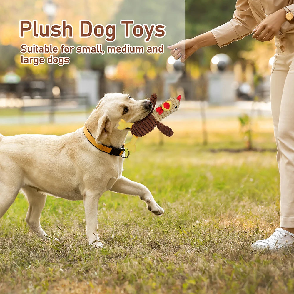 Five Pack Plush Squeaky Dog Toys Assorted Bundle For Dogs