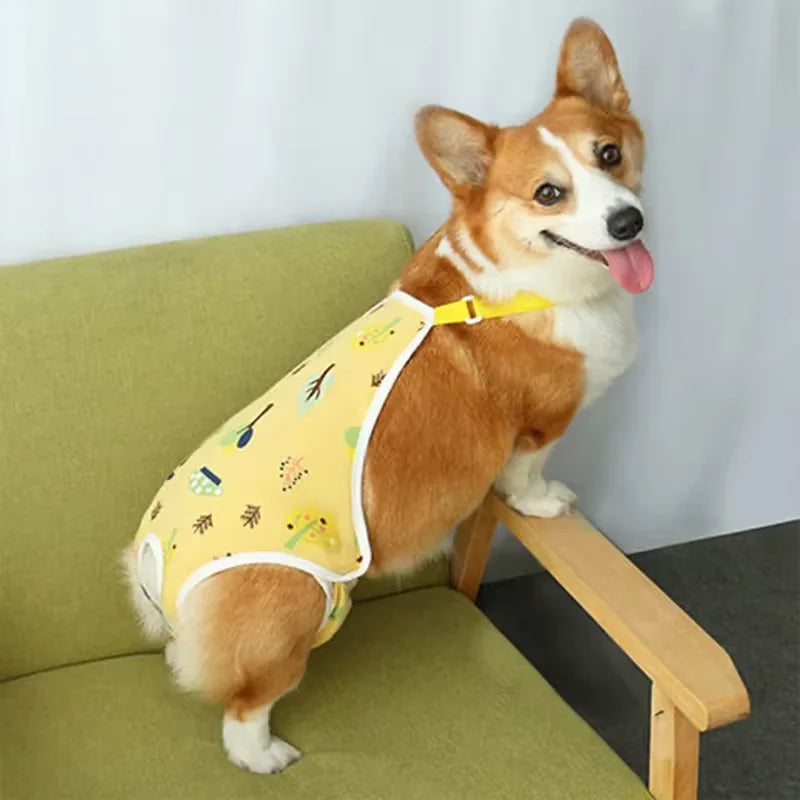 Adjustable Dog Underwear With Straps For French Bulldog
