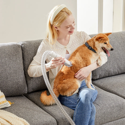 Pet Grooming Vacuum Kit With Cordless Low Noise Clippers and 3 Suction Modes