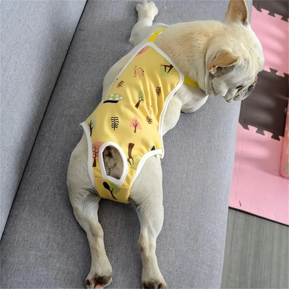 Adjustable Dog Underwear With Straps For French Bulldog
