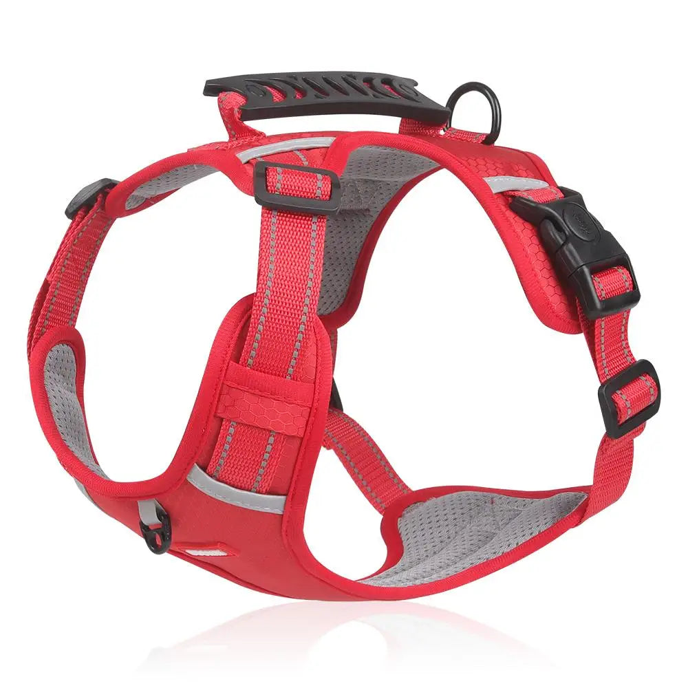 Reflective No Pull Dog Harness And Leash Set For Dogs