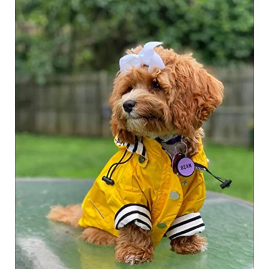 Dog Zip Up Raincoat With Reflective Buttons Hood And Legs