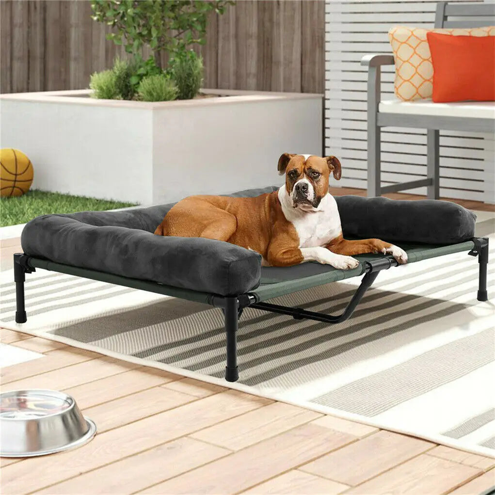 BINGOPAW Elevated Dog Bed With Detachable Plush Bolster