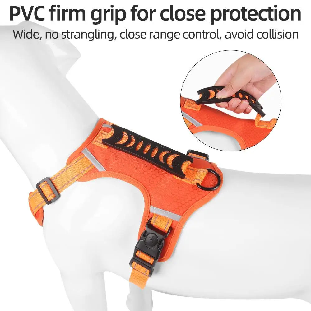 Reflective No Pull Dog Harness And Leash Set For Dogs