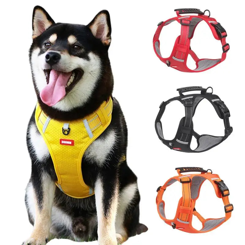 Reflective No Pull Dog Harness And Leash Set For Dogs