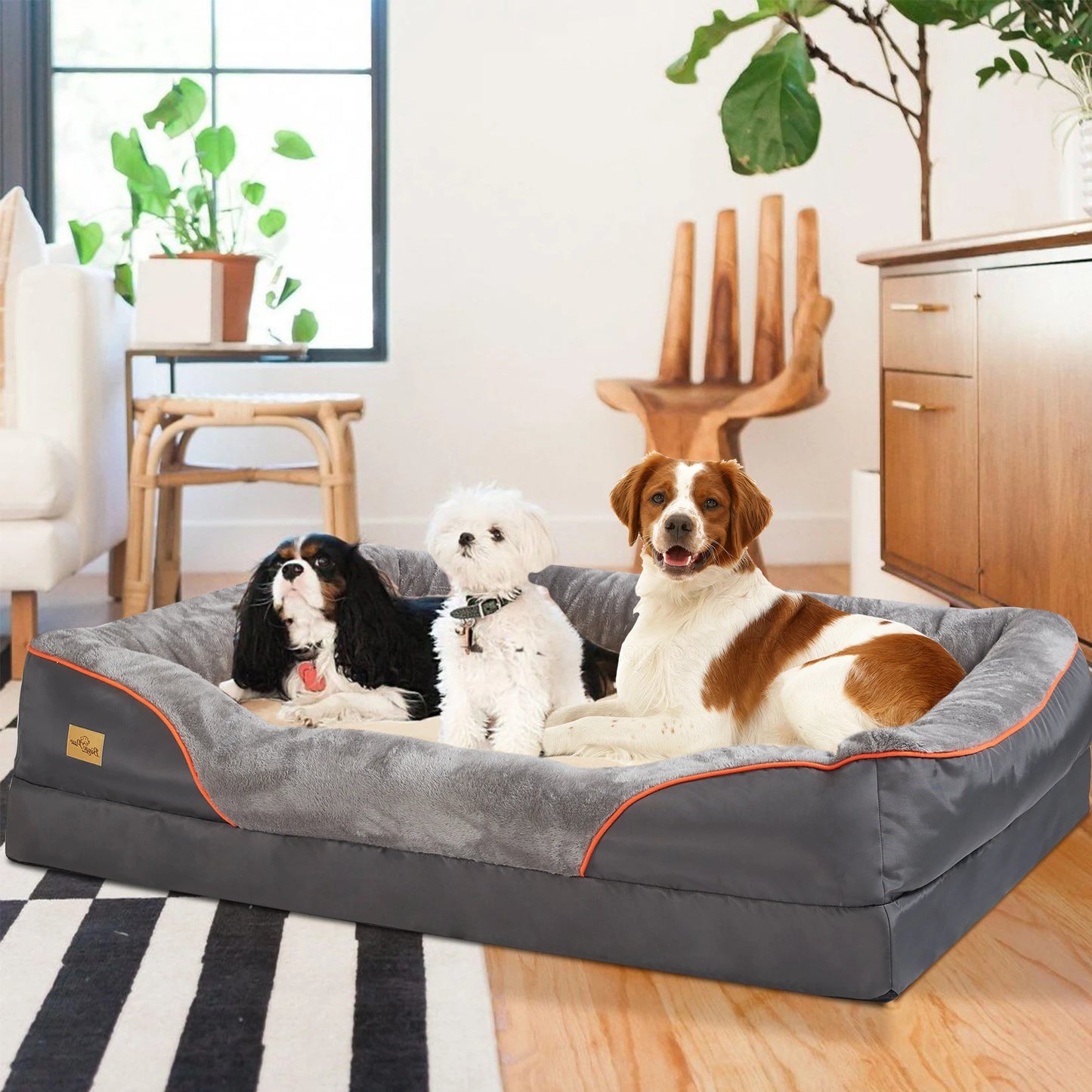 BINGOPAW Super Soft Orthopedic Foam Dog Bed With Cotton Bolster