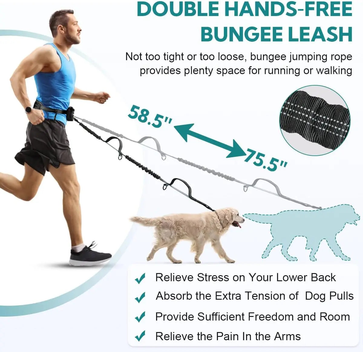 Hands Free Dual Dog Leash Set With Detachable Waist Bag