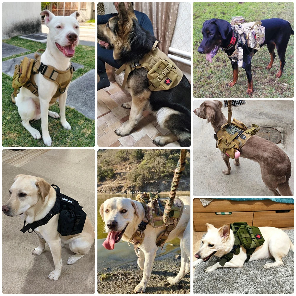Nylon Tactical Dog Harness And Leash Set For Large Dogs