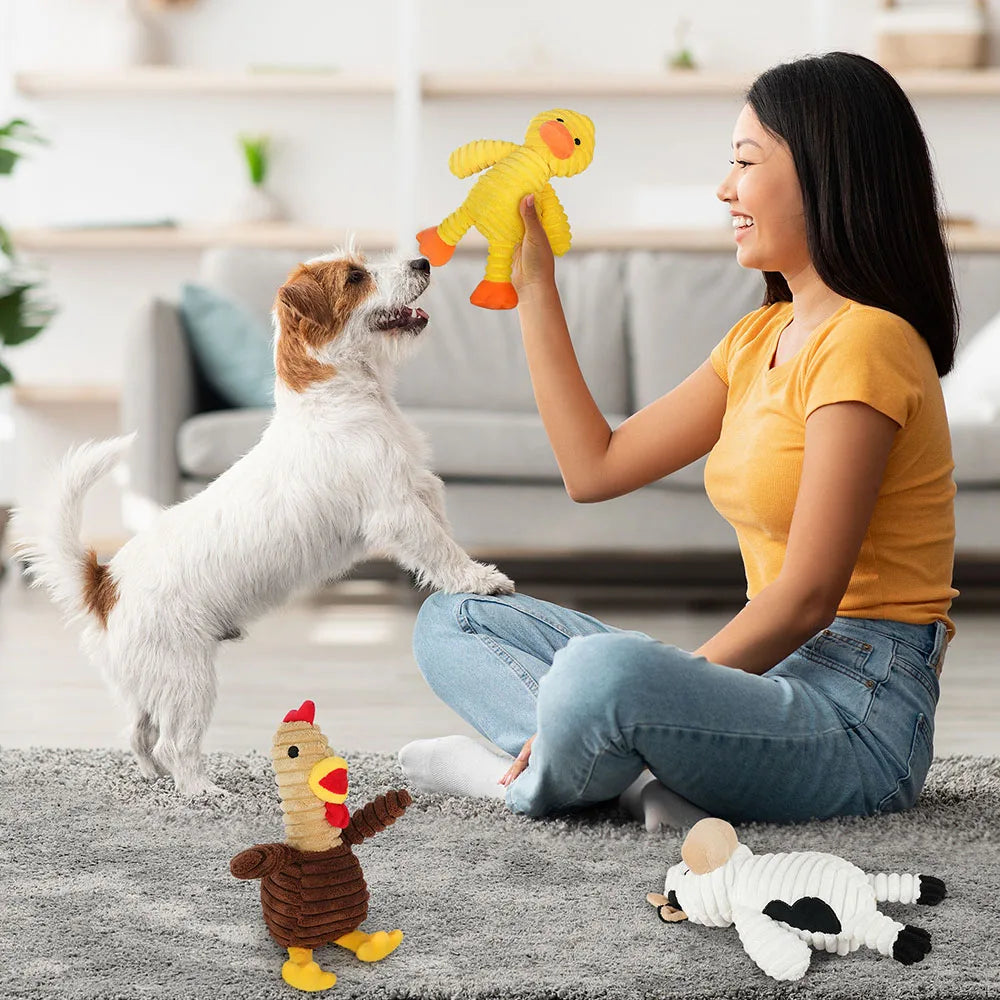 Five Pack Plush Squeaky Dog Toys Assorted Bundle For Dogs