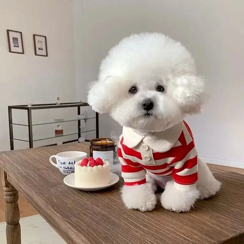 Summer Lightweight Polo Shirt For Dogs Stripe Cooling Vest