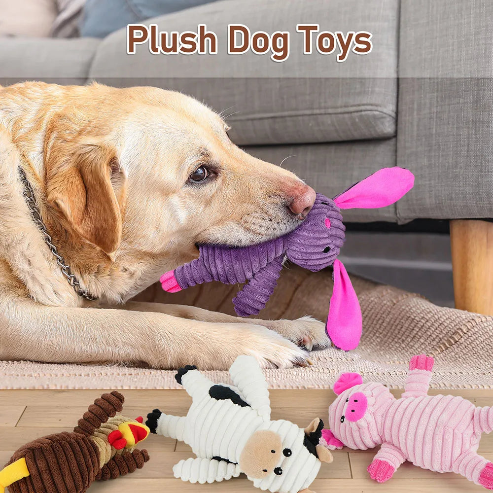 Five Pack Plush Squeaky Dog Toys Assorted Bundle For Dogs
