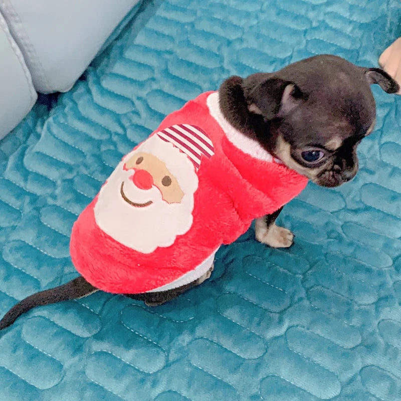 Cute Tea Cup Dog Sweater For Small Dogs Winter Fleece